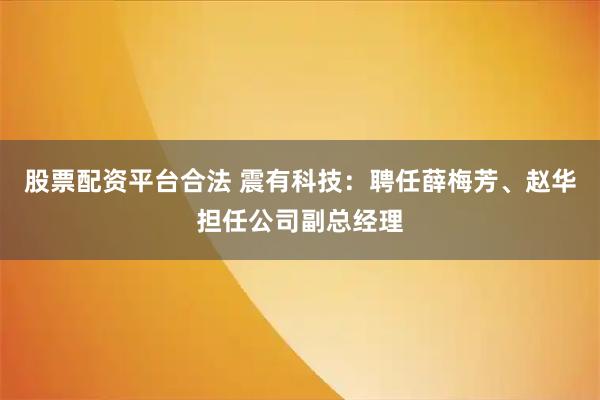 股票配资平台合法 震有科技：聘任薛梅芳、赵华担任公司副总经理
